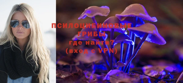 дживик Аркадак