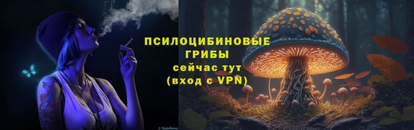 дживик Аркадак