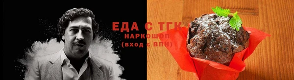дживик Аркадак