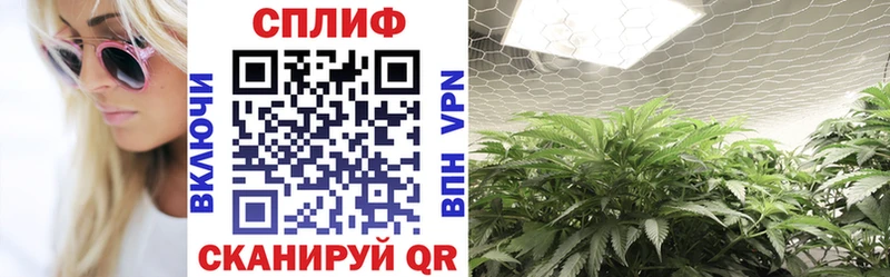 blacksprut ссылка Белёв Бошки марихуана Ganja наркошоп